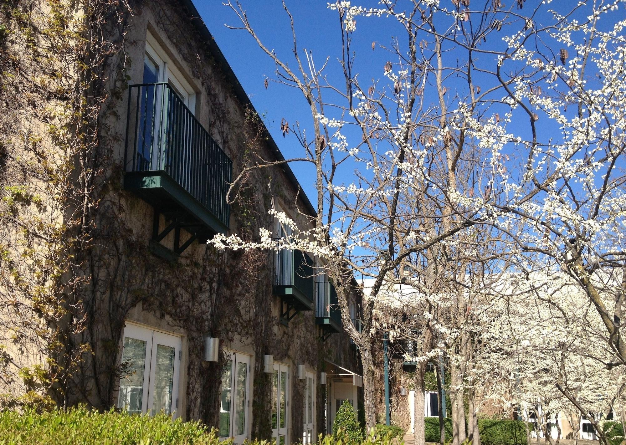 Southbridge Napa Valley Сент-Хелина Экстерьер фото